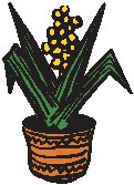 Plant 34.eps