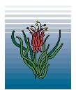 Plant 36.eps