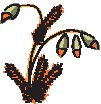 Plant 37.eps