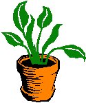 Plant 38.eps