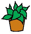 Plant 39.eps