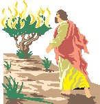 Burning Bush.eps