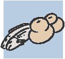 Fish & Bread 2.eps