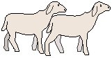 Lambs.eps