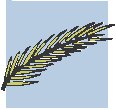 Palm Branch.eps