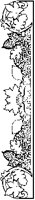 Fall Leaf Border.eps