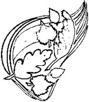 Wind & Leaves.eps
