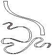 Ribbon 2.eps