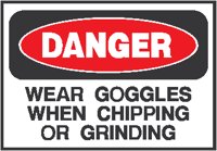 Wear Goggles 2.eps