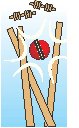 Cricket - Equipment 1.eps