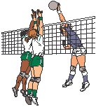 Volleyball - Spike.eps