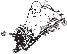 Skier 03.eps