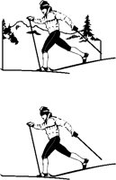 Skiing - Cross Country 2.eps