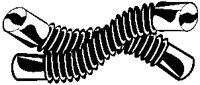 Auto Hoses.eps