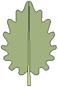 Leaf 06.eps