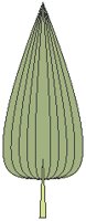 Leaf 08.eps