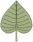 Leaf 10.eps