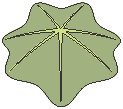 Leaf 12.eps