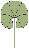 Leaf 14.eps