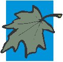 Leaf 16.eps