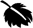 Leaf 18.eps