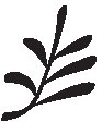 Leaf 22.eps