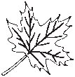 Leaf 27.eps
