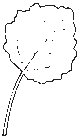 Leaf 29.eps