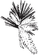 Leaf 33.eps