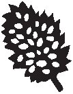 Leaf 40.eps