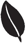 Leaf 45.eps