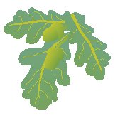 Leaf 47.eps