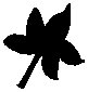 Leaf 48.eps