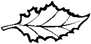 Leaf 51.eps