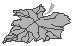 Leaf 52.eps