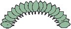 Leaf Border.eps