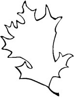 Leaf Frame 2.eps