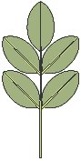 Leaves 03.eps