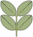 Leaves 04.eps