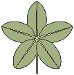 Leaves 05.eps