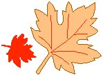 Leaves 08.eps