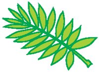 Leaves 24.eps
