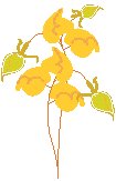 Leaves 25.eps