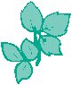 Leaves 26.eps
