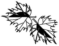 Maple Leaves 1.eps