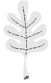 Oak Leaf 1.eps