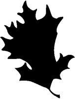 Oak Leaf 2.eps