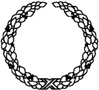 Olive Leaves Frame.eps