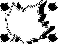 Shadow Leaf Frame.eps