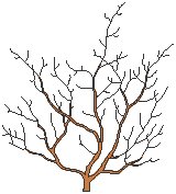 Branches.eps